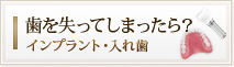 歯を失ってしまったら？
インプラント・入れ歯