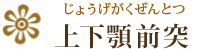 上下顎前突（じょうげがくぜんとつ）