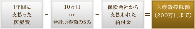 医療費控除額の計算方法